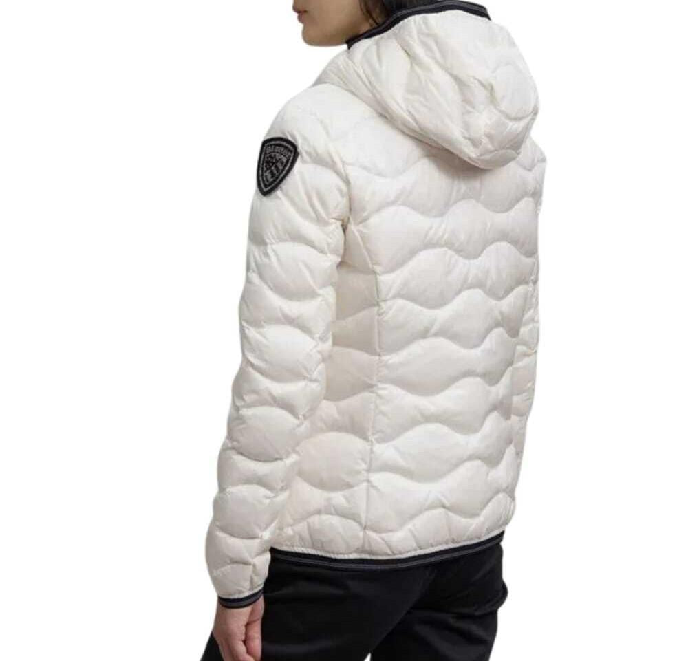  25WBLDC03095 100BI BLAUER 