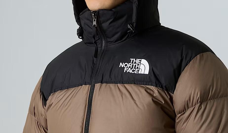 NF0A3C8DDHL BROWN/MOCHA THE NORTH FACE 