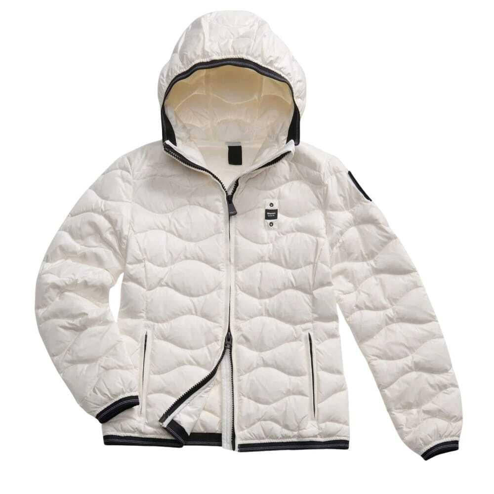  25WBLDC03095 100BI BLAUER 