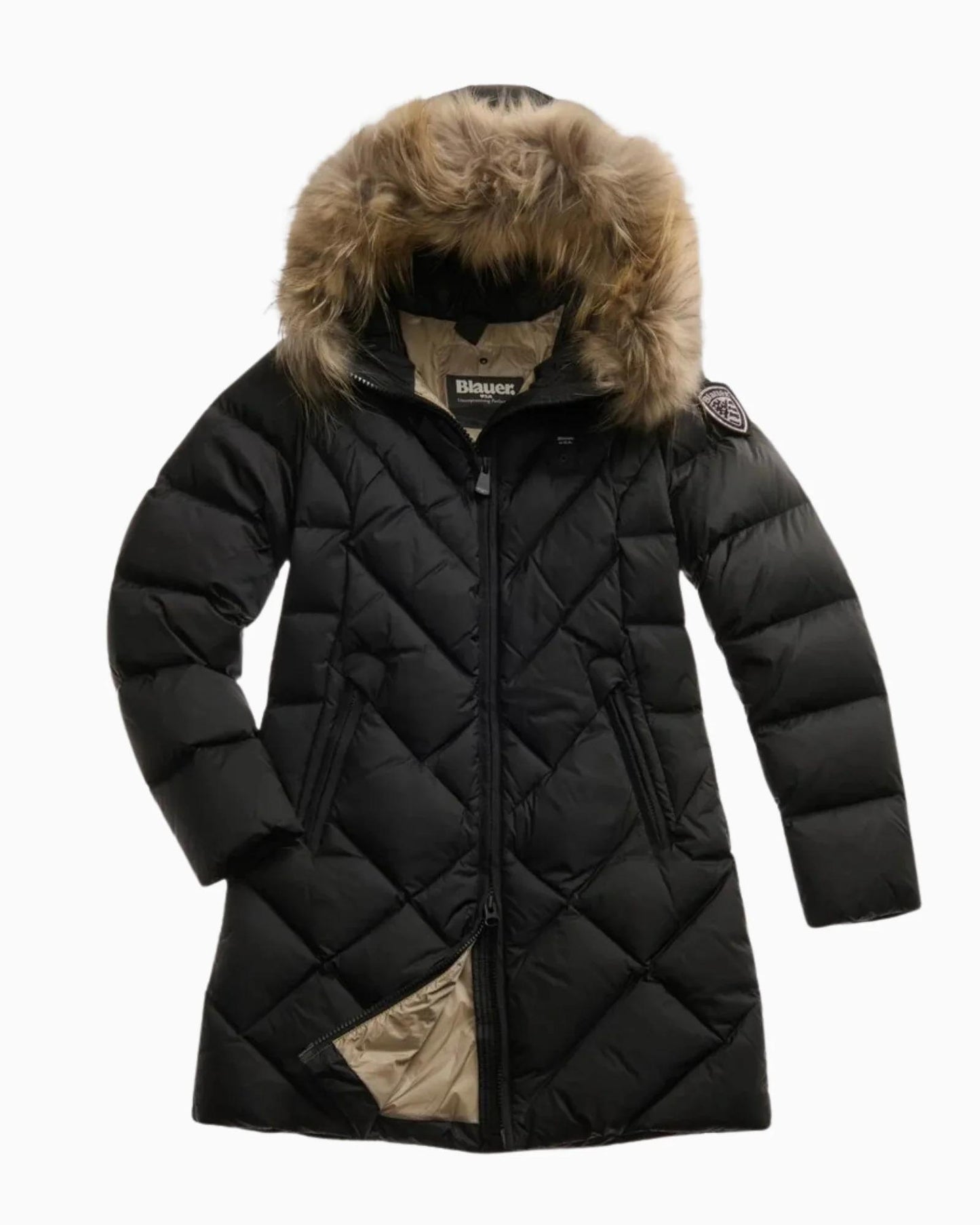  25WBLDK03098 999 BLAUER 